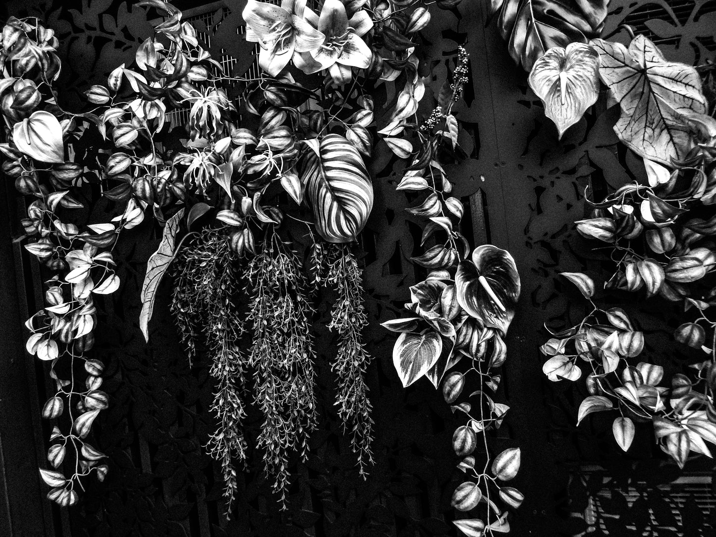 東京スナップTシャツ "Imitation"