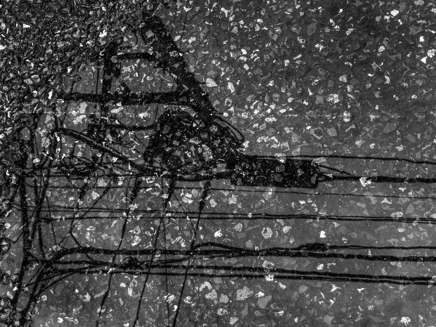 東京スナップTシャツ "Unwinding"