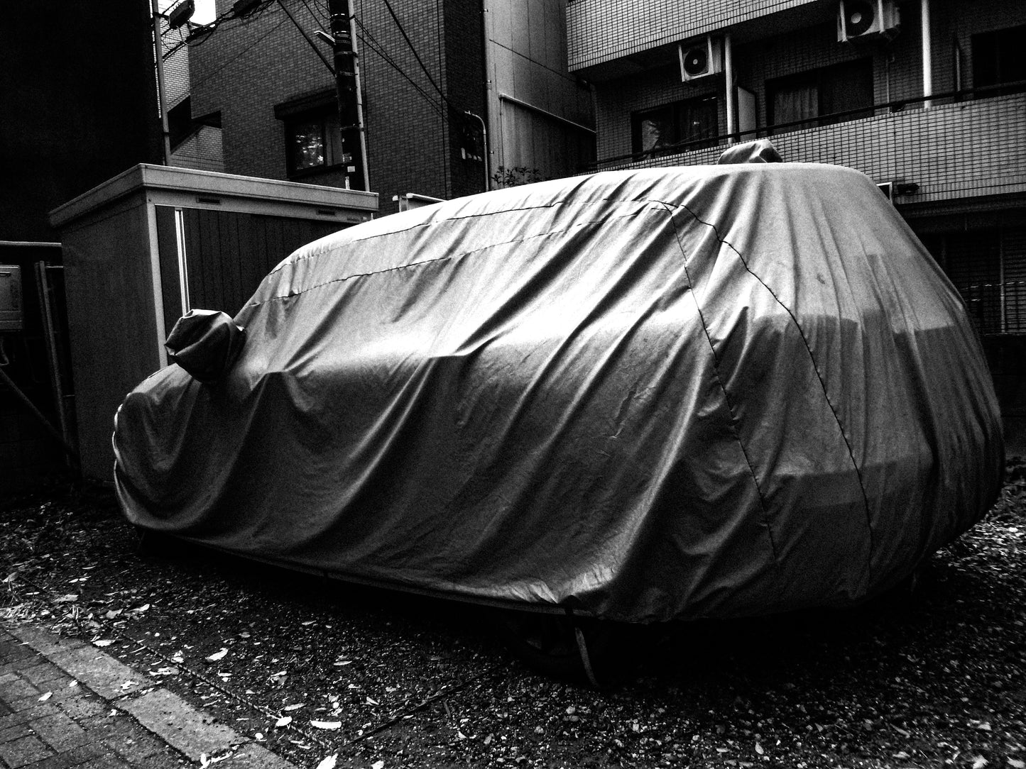 東京スナップTシャツ "The Queen's Dress"