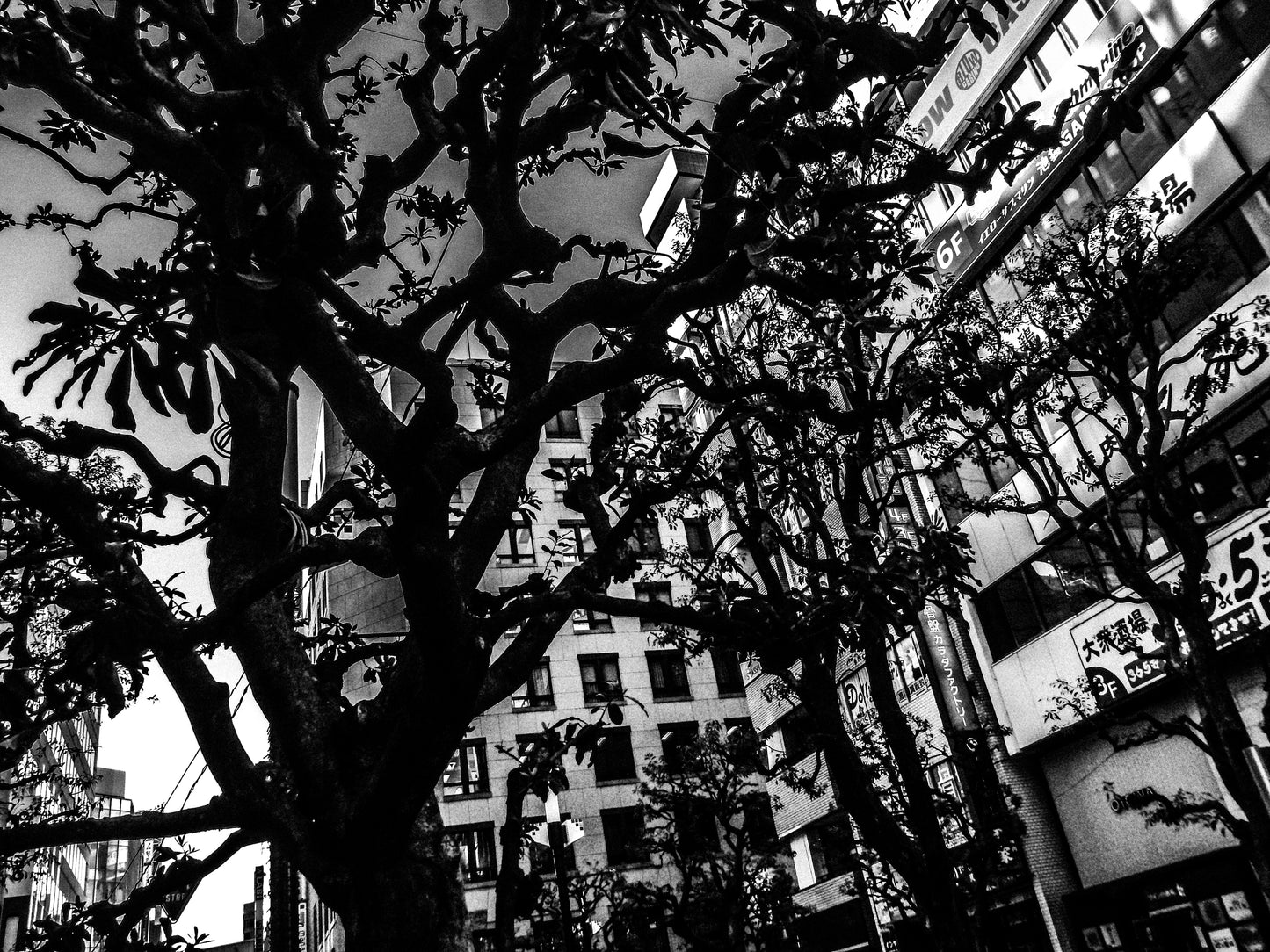 東京スナップTシャツ "Glimpses"