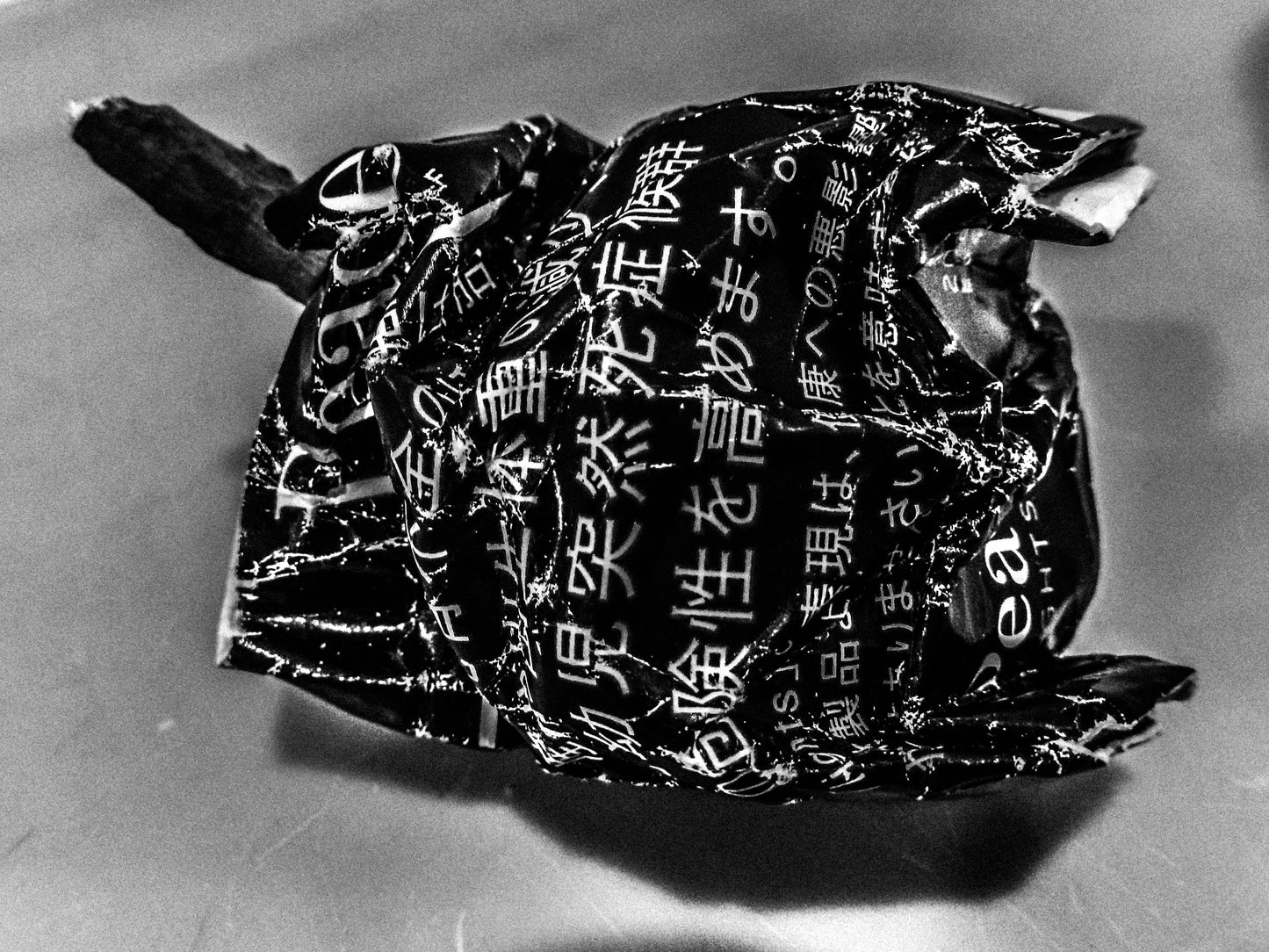 東京スナップTシャツ "Peace"