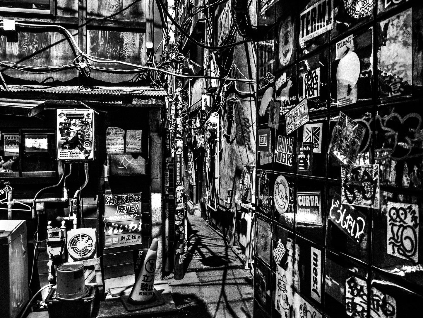 東京スナップTシャツ "Systems Holism"