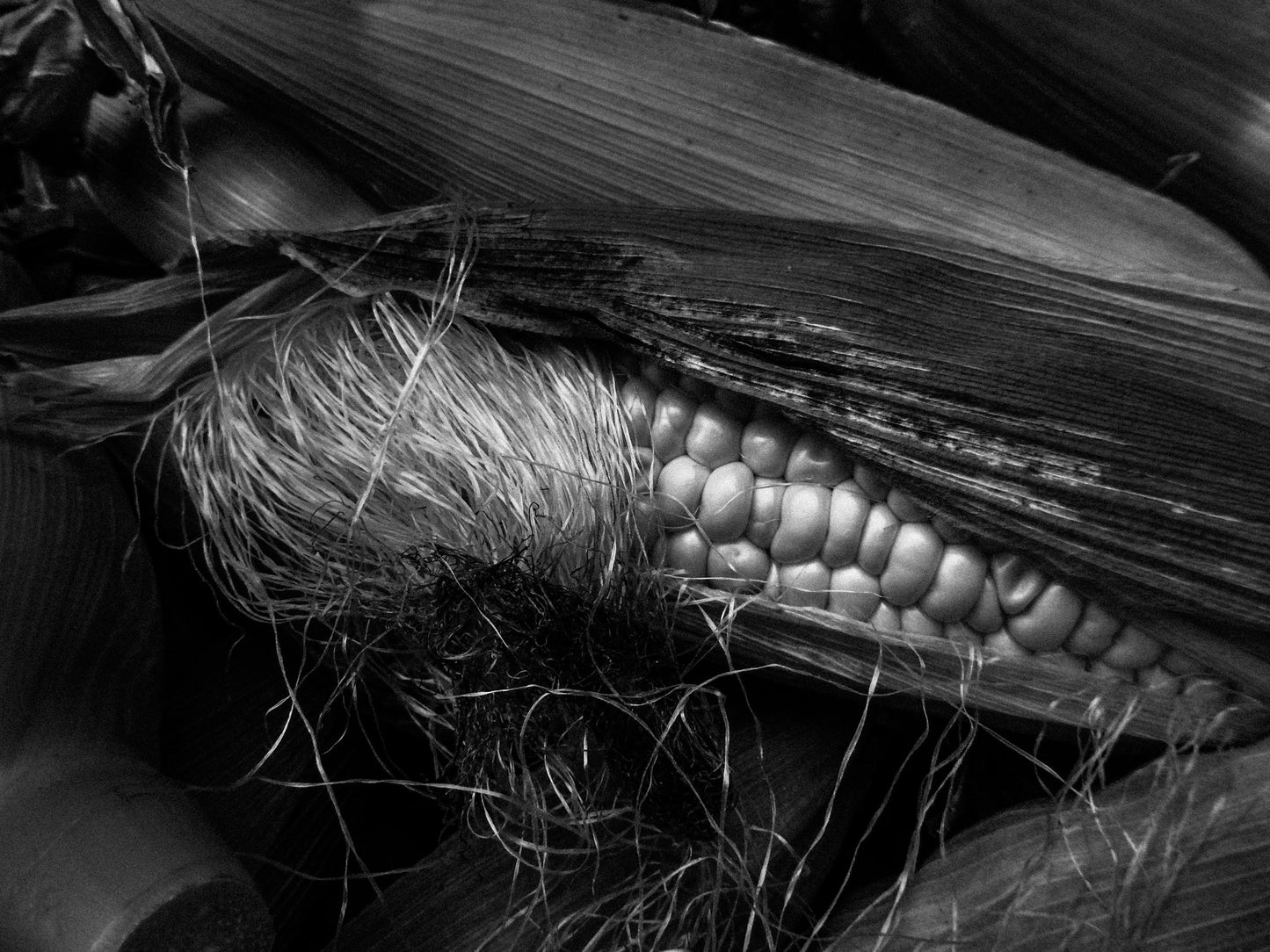 東京スナップTシャツ "Corn"