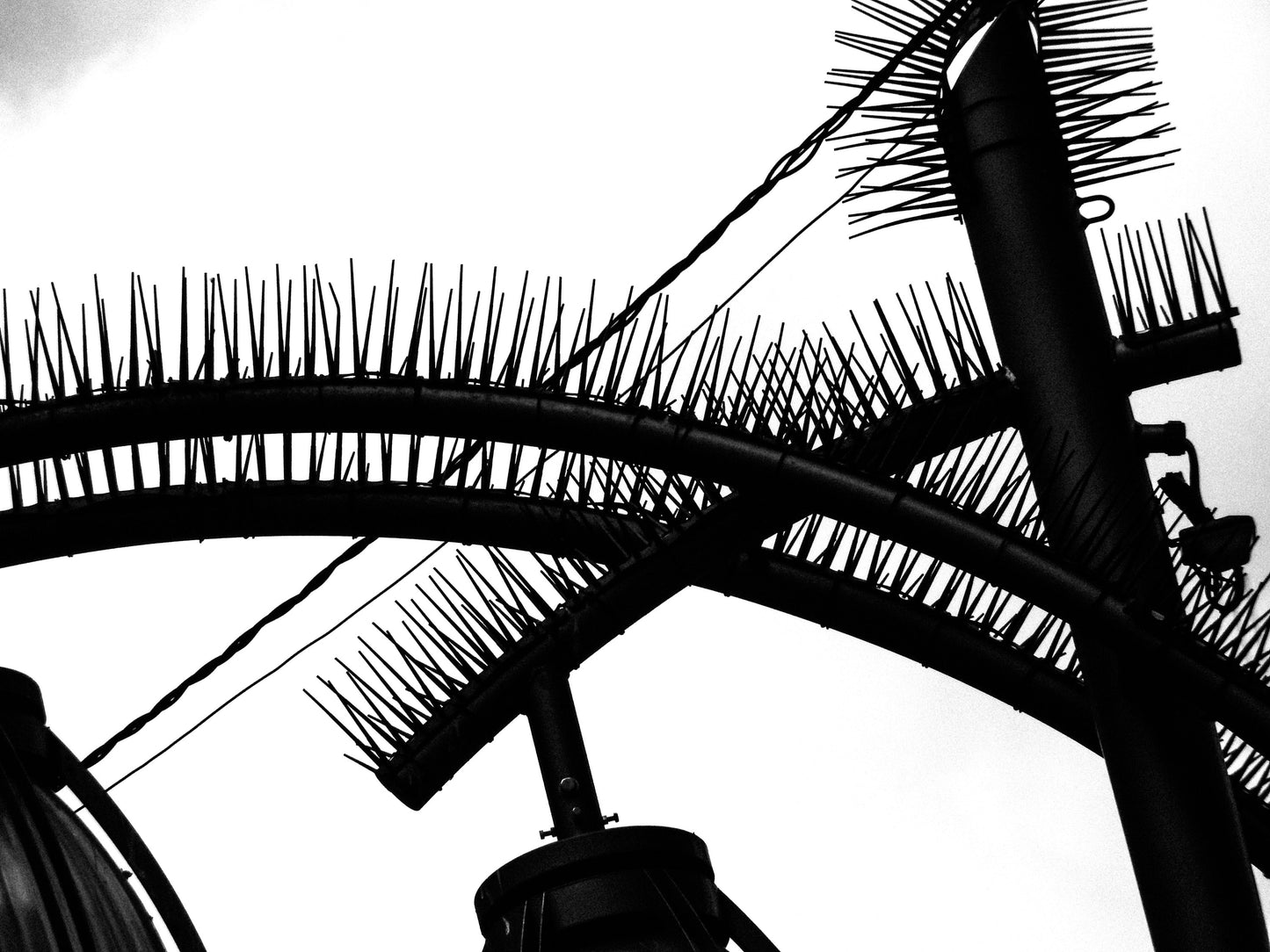 東京スナップTシャツ "False Lashes"