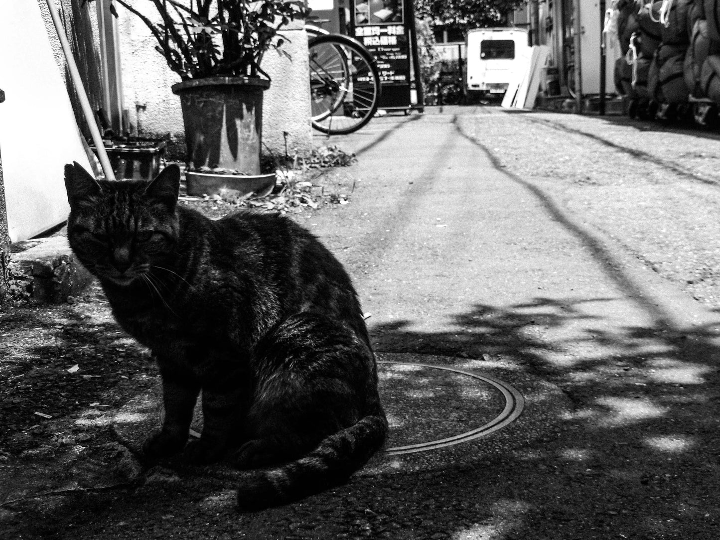 東京スナップTシャツ "Choice"