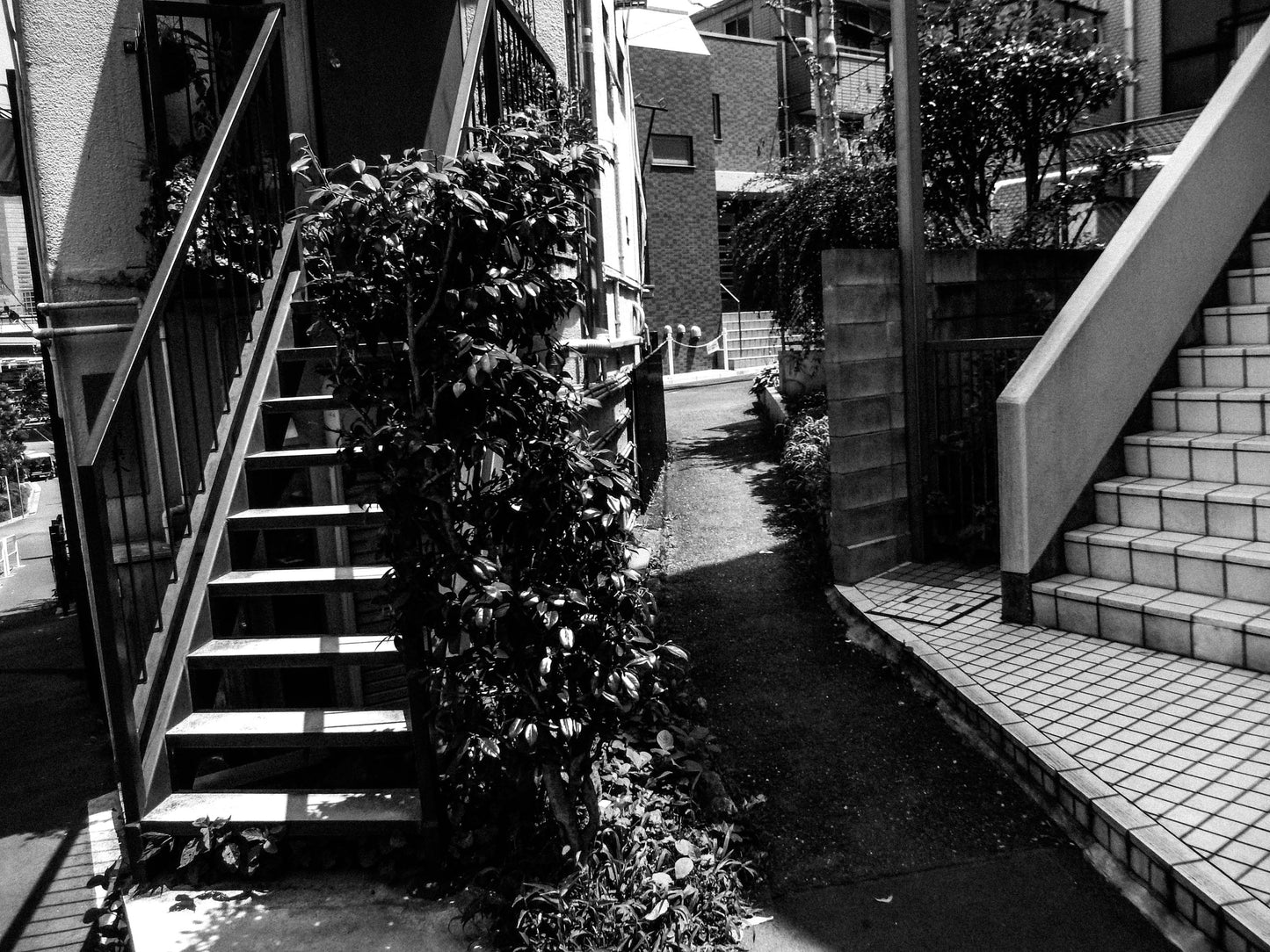 東京スナップTシャツ "Escher"