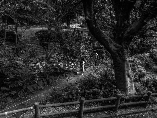 曇りの日の写真