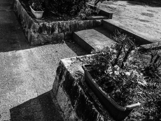 写真とインストゥルメンタル— 伝達効率と映像表現